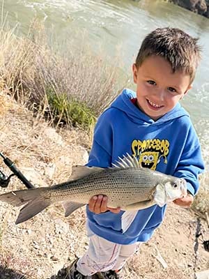 1482699f-66d9-42d0-a70f-872de33caa9f