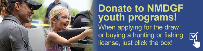 2024_EmailBanner_SupportDGFYouth_700pX177p[1][1]