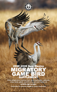 2025-2026 MGB Cover