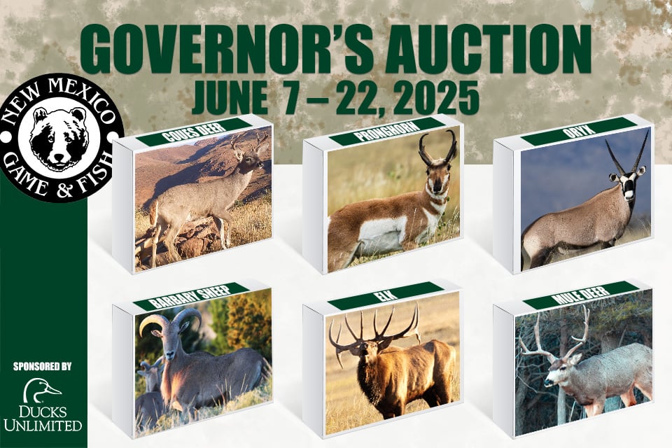 2025_GovernorsAuctionb_960x640