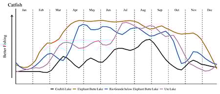 Catfish Graph
