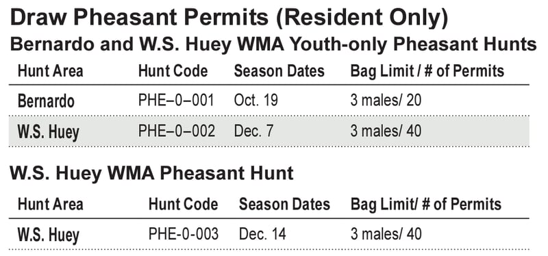 Draw Pheasant Permits 24-25 CROPPED copy-1