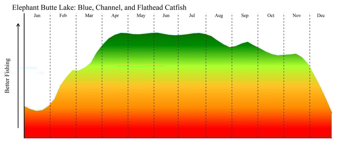 Elephant Butte Catfish