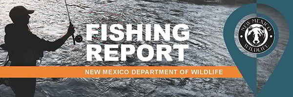 Fishing Report Banner NEW