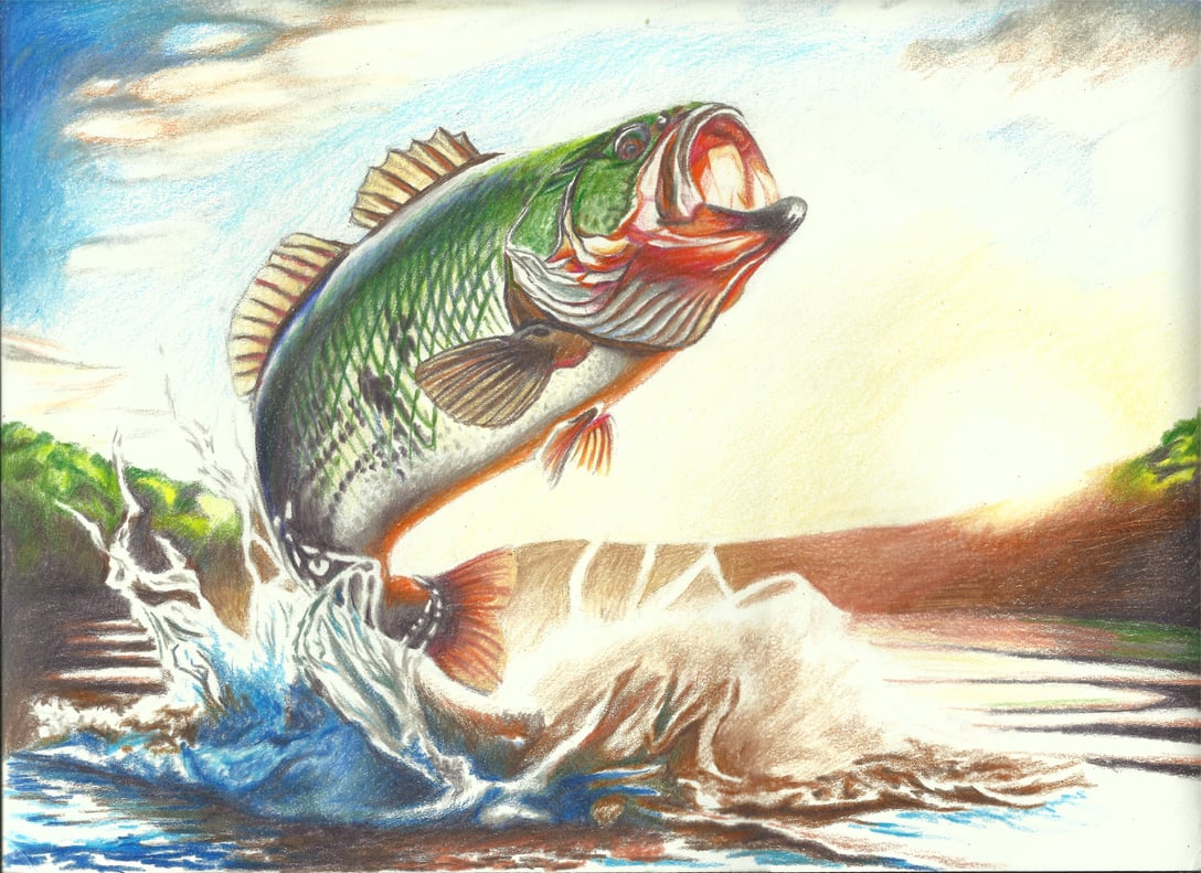 GA 7 - 9 1st place 2101 Steven Ju 7th grade art