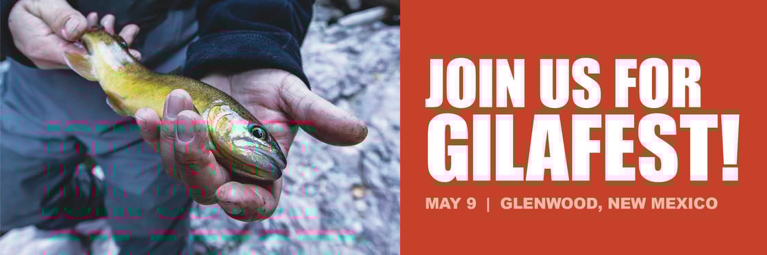 Gilafest_emailbanner_600x200_2026