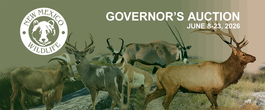 GovernorsAuction_600px_WebsiteAndEmailBannerNEW@2x