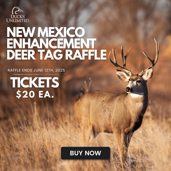 NM25 DEER ENHANCE_POST V1