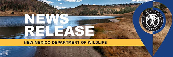 News Release Banner NEW-1