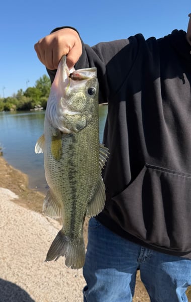 NorthWest- Tingley Beach - Landon Martinez-2