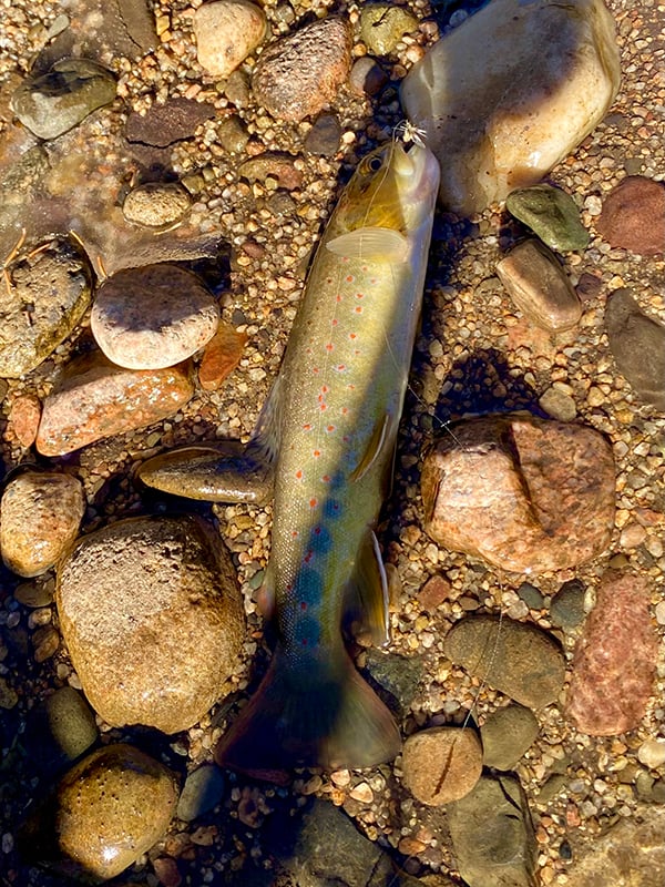 Northeast - Pecos River - Daniel Muenzberg