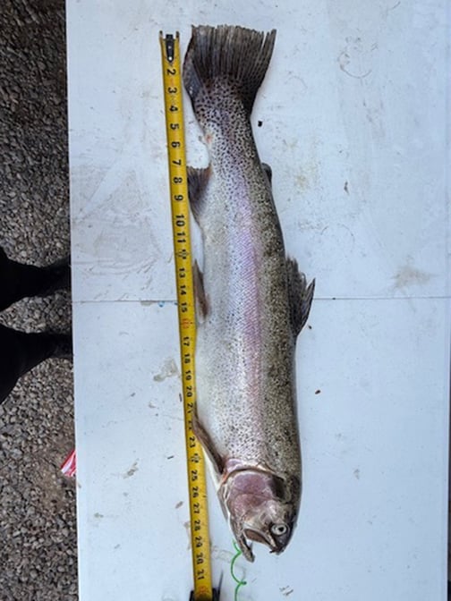 Northeast - Pecos River - Delilah Gonzalez