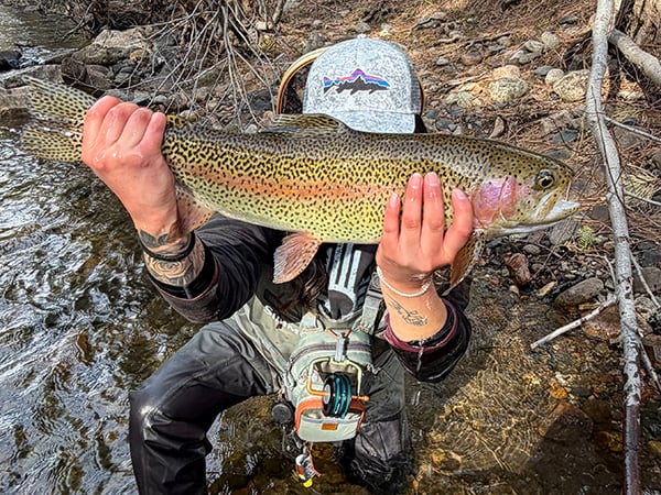 Northeast - Pecos River - Sierra Rodriguez