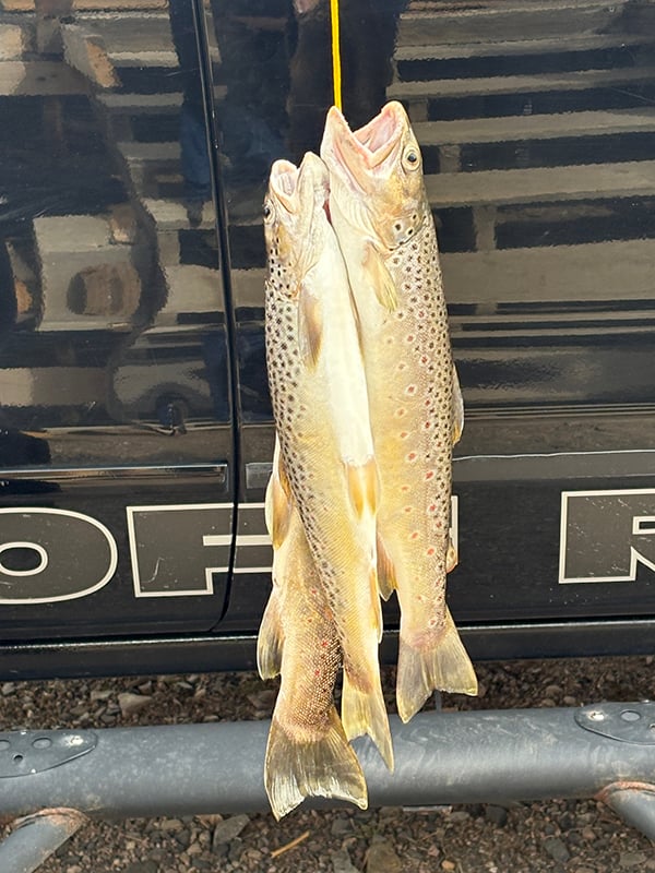 Northeast - Santa Cruz Reservoir - Jerome Dominguez
