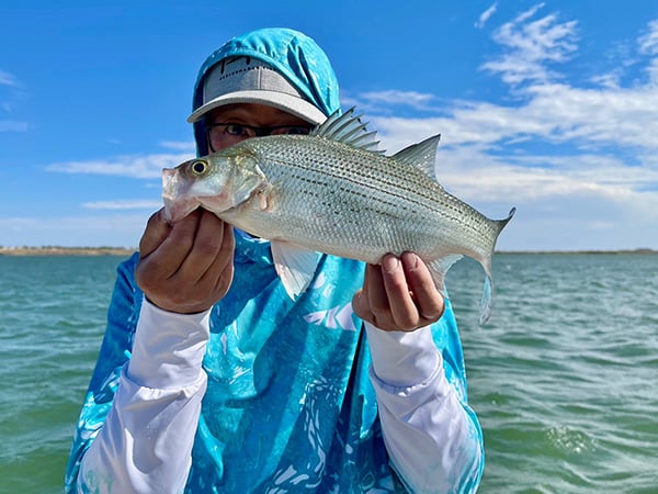 Northeast - Ute Lake - Donald Vang