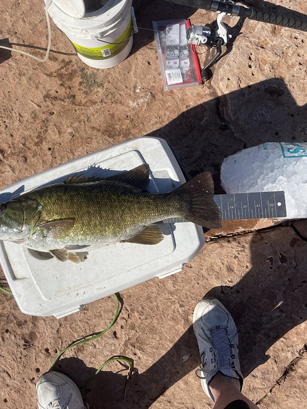 Northeast - Ute Lake - James Meeks