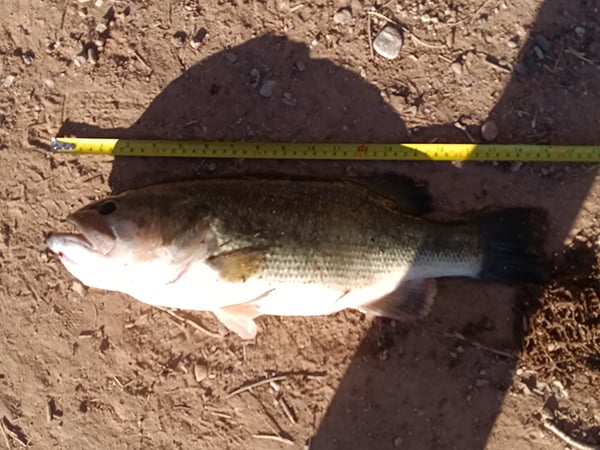 Northwest - Albuquerque Area Drains - Sam Stewart