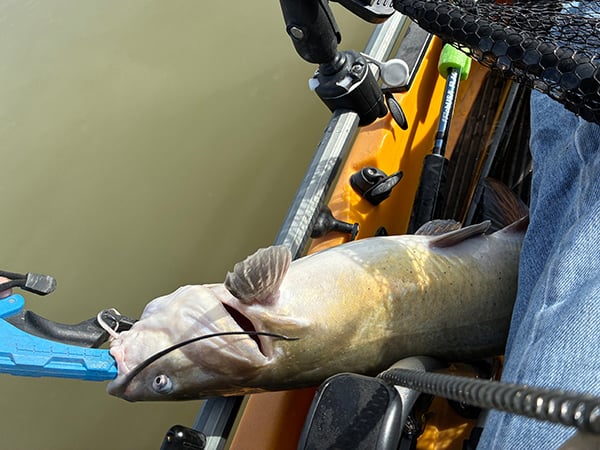Northwest - Cochiti Lake - Larry Bernstein-1