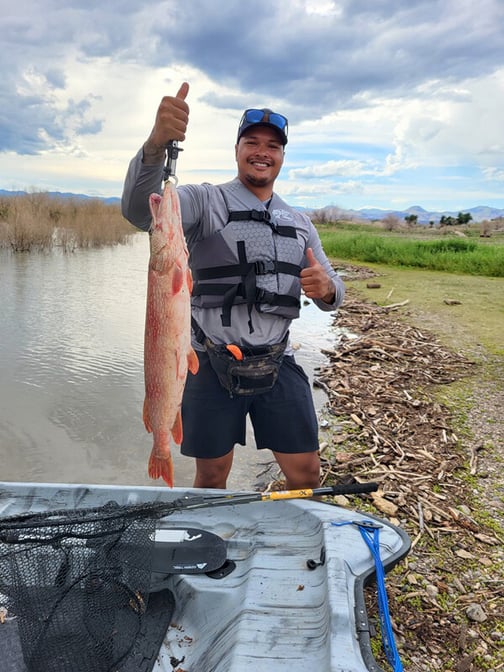 Northwest - Cochiti Lake - Mike Archuleta 