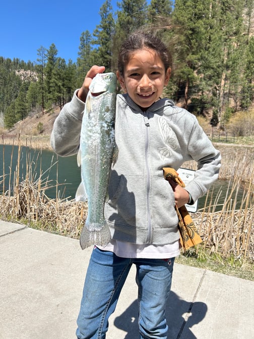 Northwest - Jemez Waters - Ava Hendren