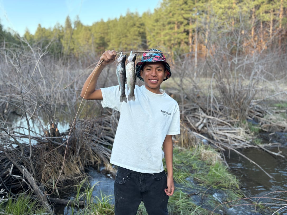Northwest - Jemez Waters - Carter Patricio