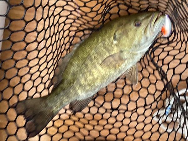 Northwest - Navajo Lake - David Benavidez smallmouth