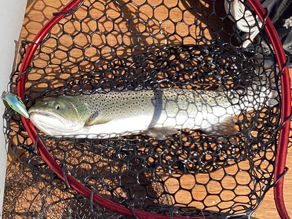 Northwest - Navajo Lake - David Benavidez trout