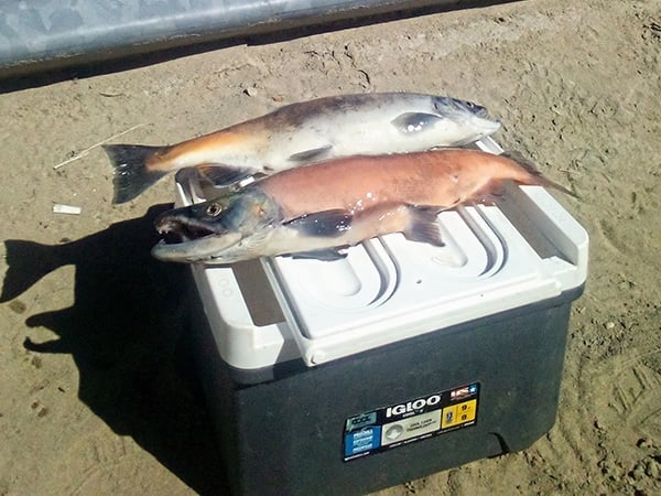 Northwest - Navajo Lake - Lesa Crispin