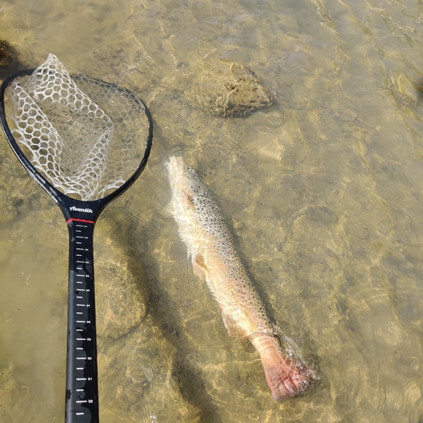 Northwest - San Juan River - Kevin Conlin