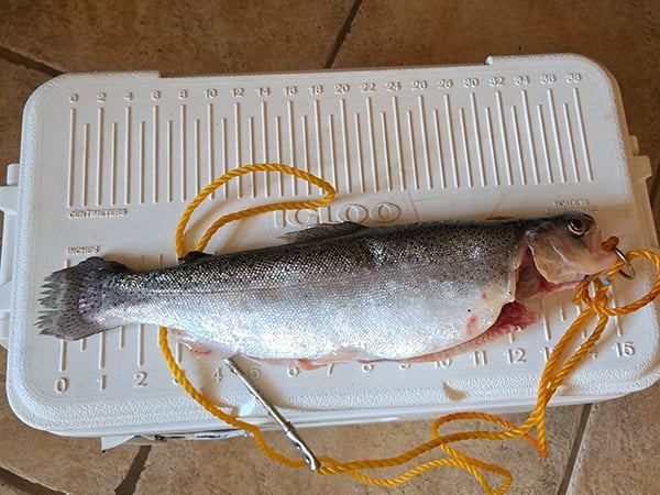 Northwest - Tingley Beach - Gilbert Salas Jr