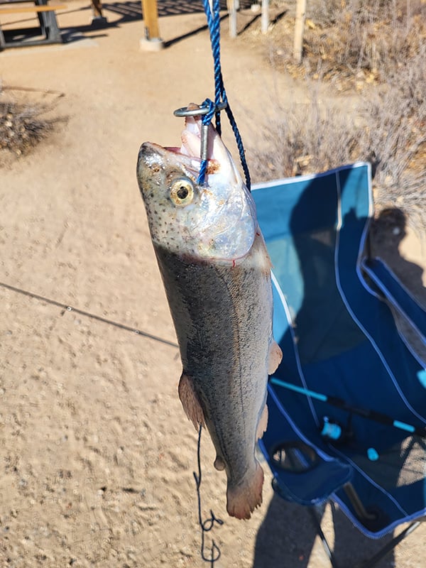 Northwest - Tingley Beach - Greg Sanchez-1