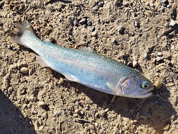 Northwest - Tingley Beach - Greg Sanchez-3