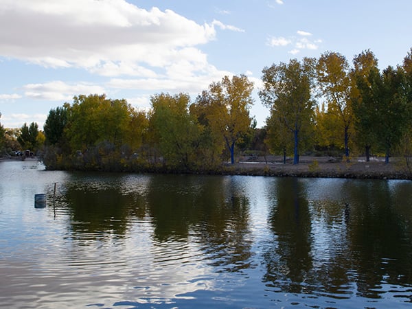Northwest - Tingley Beach