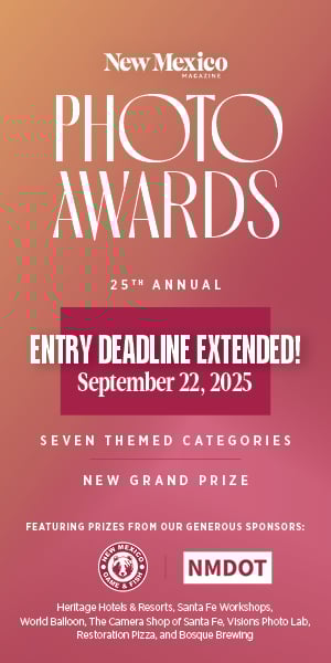 PhotoContest_Extended_300x600 (1)
