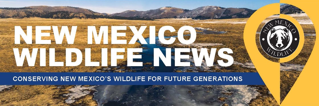 Rule Hearing Banner NEW