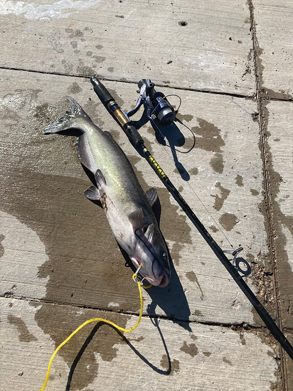 SW_Bill Evans_ Eric Ockerhausen