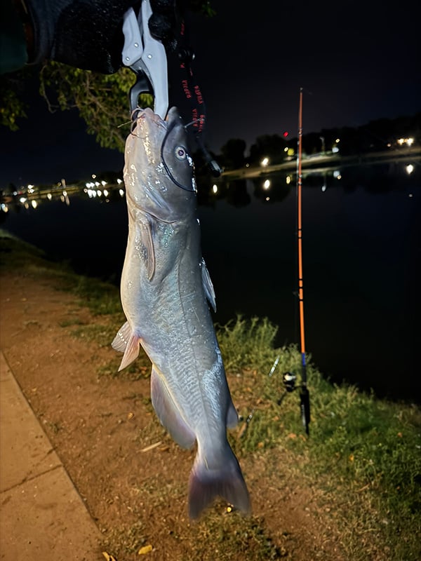 Southeast - Bataan Lake - Orlando Reyna