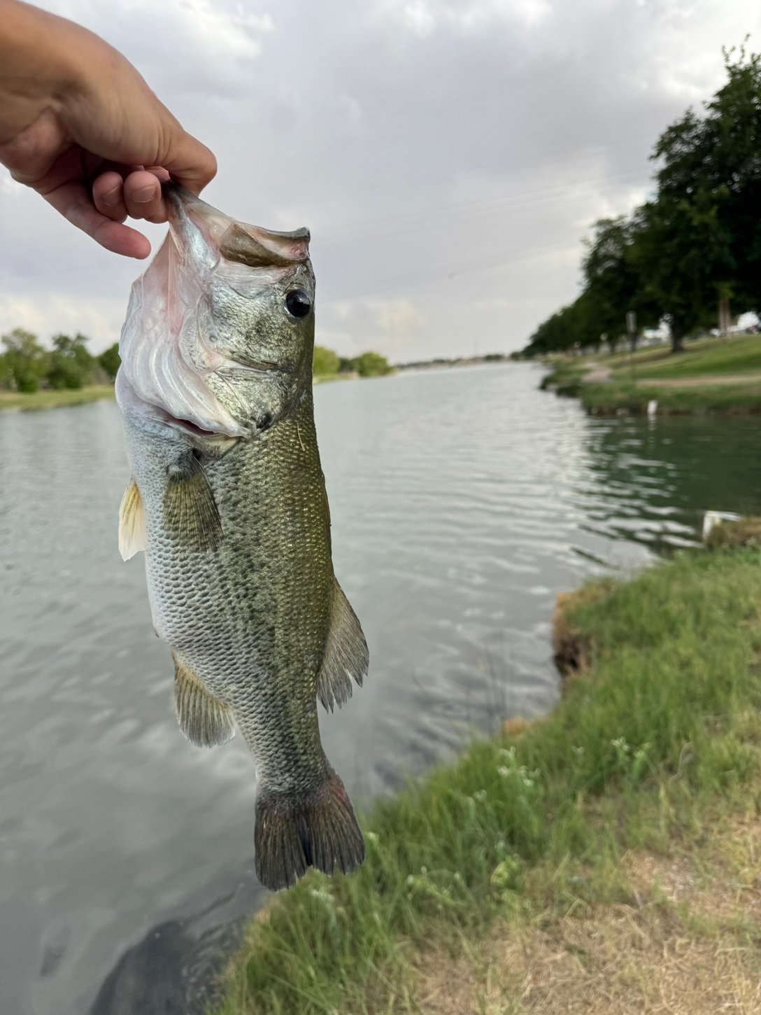 Southeast - Carlsbad Municipal Lake - Orlando Reyna