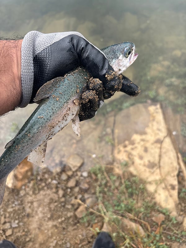 Southeast - Grindstone Reservoir - Hector Horta