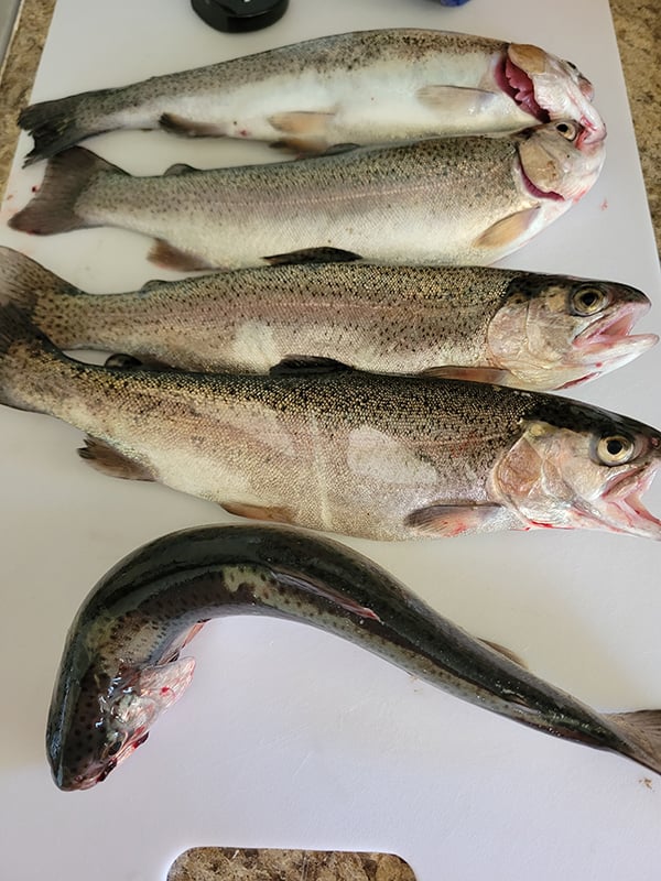 Southeast - Grindstone Reservoir - Nathaniel Mascarenas