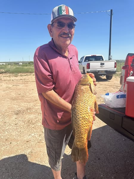 Southeast - Sumner Lake carp