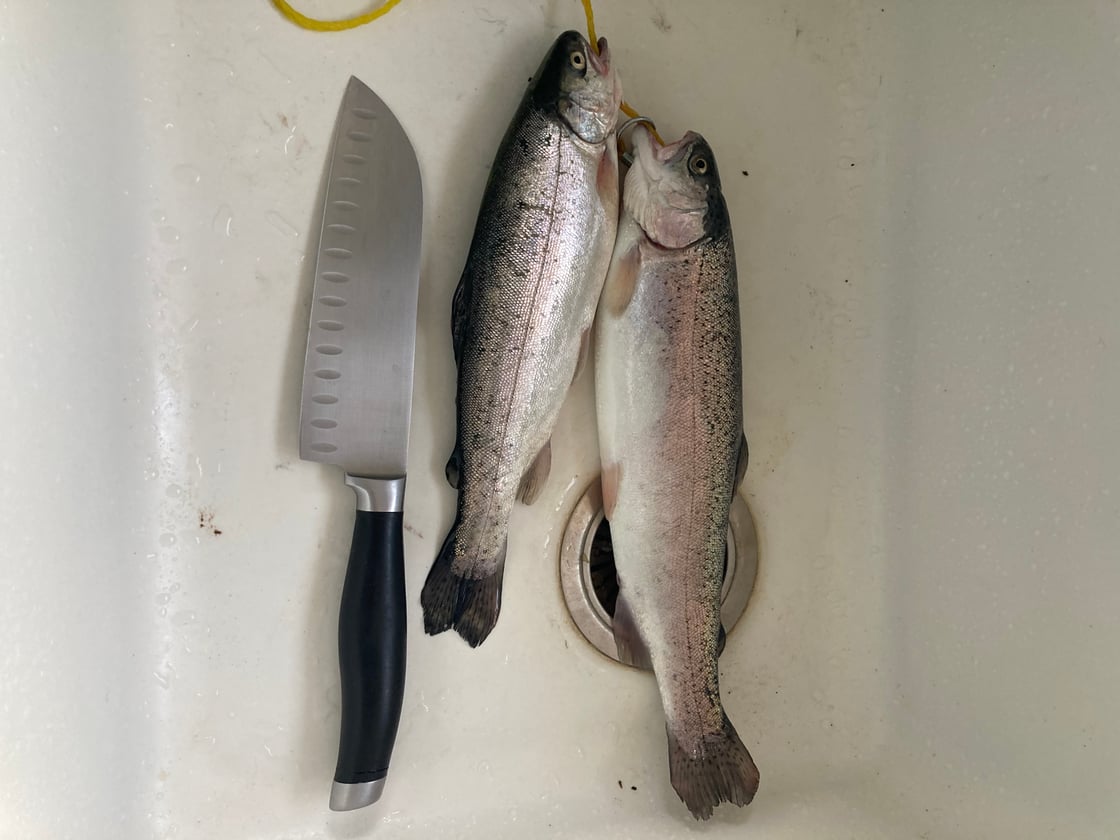 Southwest - Bill Evans Lake - Eric Ockerhausen-1