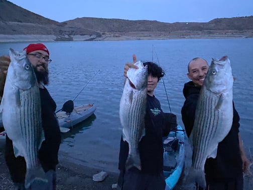 Southwest - Elephant Butte Lake - Anthony Dupree
