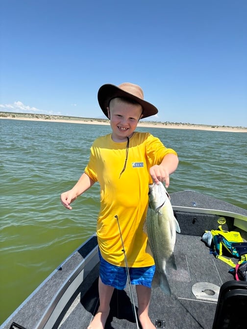 Southwest - Elephant Butte Lake - Bjorne Loberg