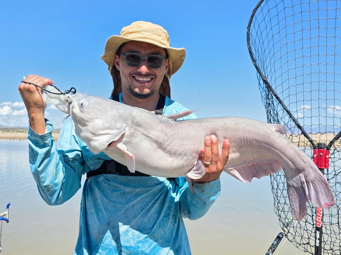Southwest - Elephant Butte Lake - Daniel Calanchi big catfish