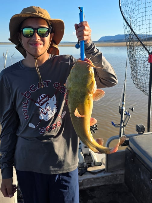 Southwest - Elephant Butte Lake - Daniel Calanchi catfish