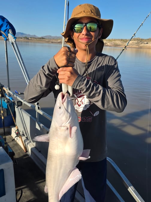 Southwest - Elephant Butte Lake - Daniel Calanchi multiple catfish