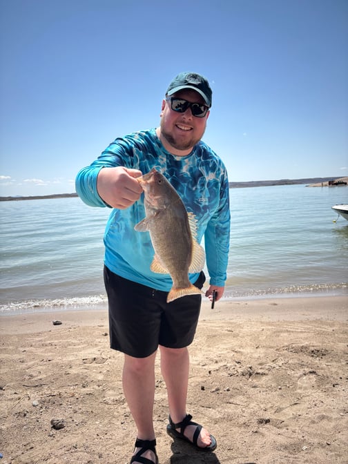 Southwest - Elephant Butte Lake - Isaac Mossburg