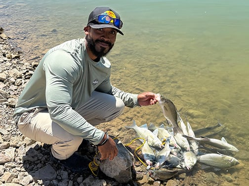 Southwest - Elephant Butte Lake - Joseph Regulus