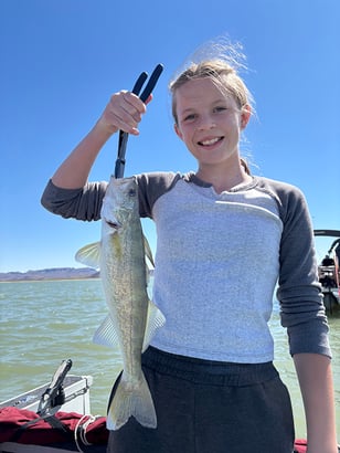 Southwest - Elephant Butte Lake - Toby Holden 1